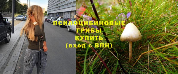 не бодяженный Абаза