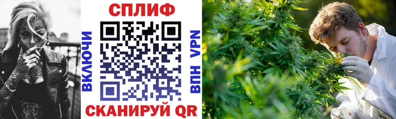 Канабис White Widow  Сорск 